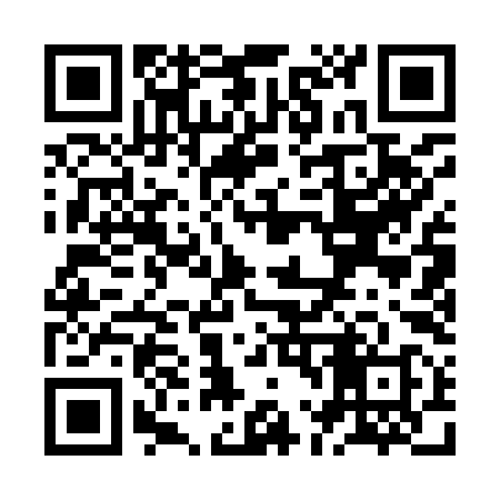 QR code for ZL1998