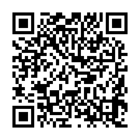 QR code for ZL1999
