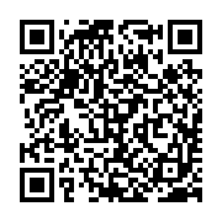 QR code for ZL2293