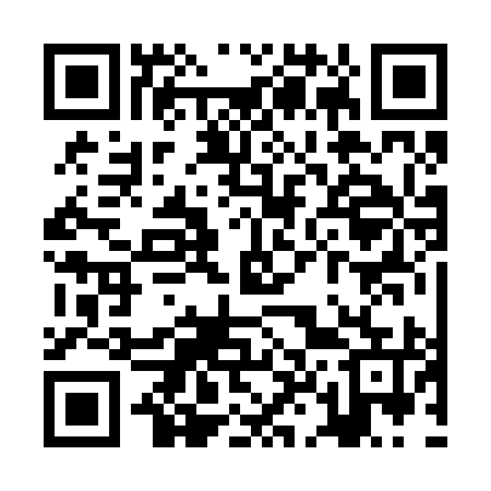 QR code for ZL2295