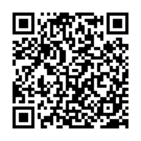 QR code for ZL3207