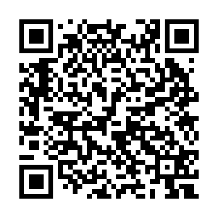 QR code for ZL3221