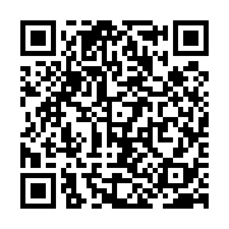 QR code for ZL3538