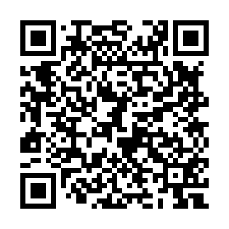 QR code for ZL3851