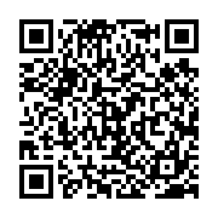 QR code for ZL4637