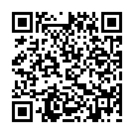 QR code for ZL4919