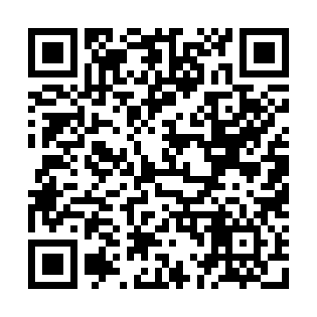 QR code for ZL5386