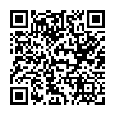 QR code for ZL6133