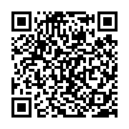 QR code for ZL6638