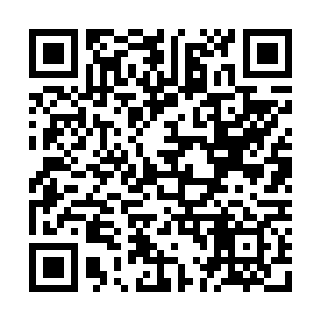 QR code for ZL6669