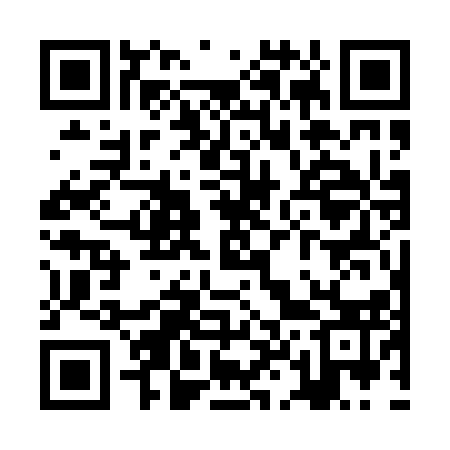 QR code for ZL7013