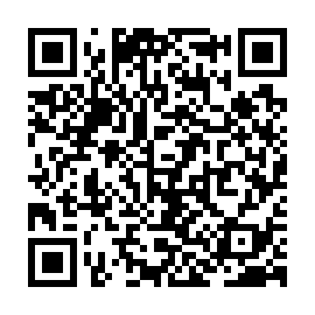 QR code for ZL7739