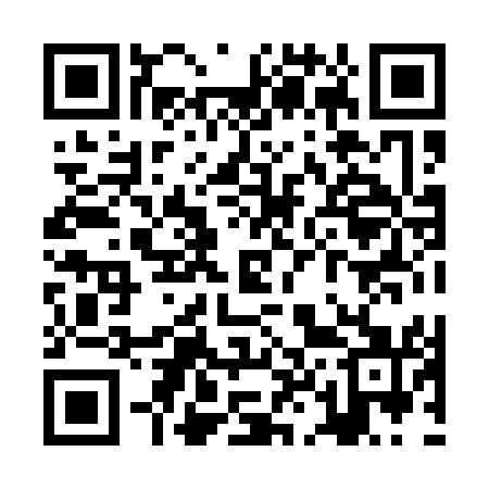 QR code for ZL8151
