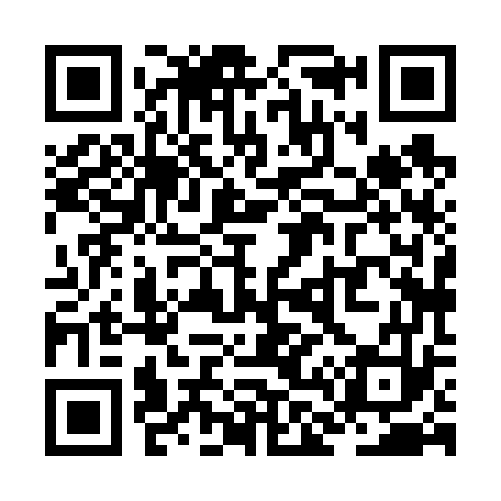 QR code for ZL8673