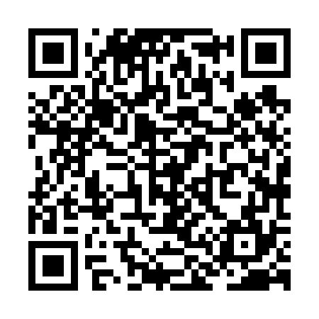 QR code for ZL8674