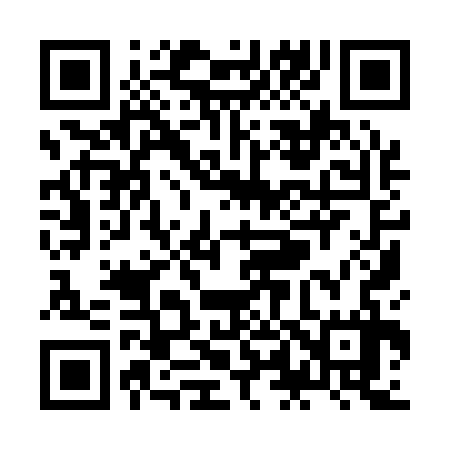 QR code for ZL9137