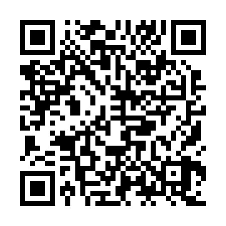 QR code for ZL9228