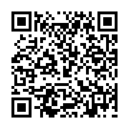 QR code for ZL9381
