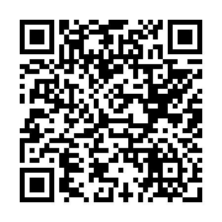 QR code for ZL9635