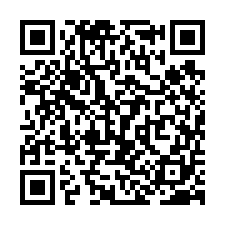 QR code for ZL9650