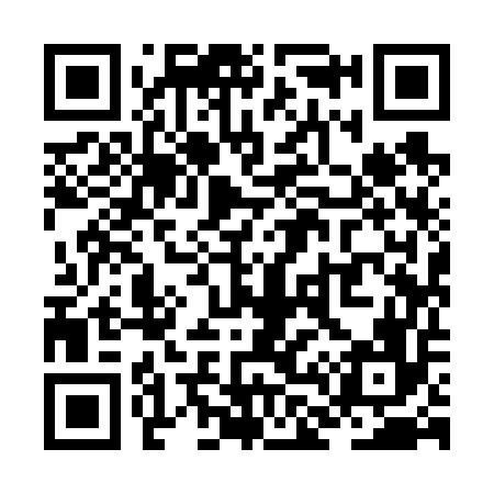 QR code for ZL9656
