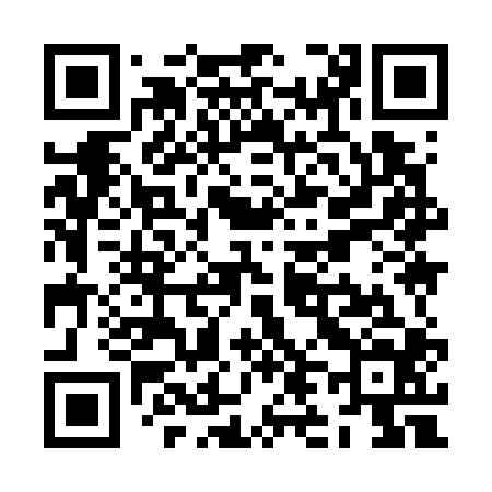 QR code for ZL9704