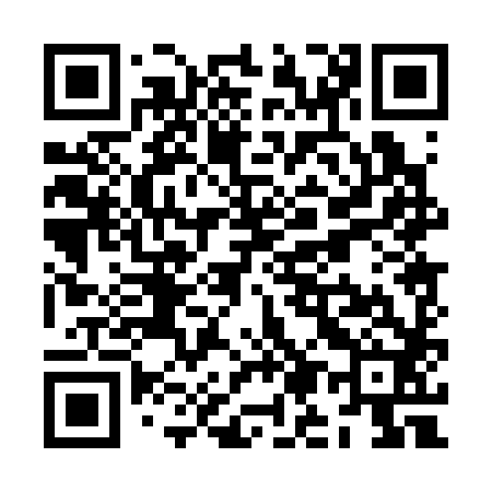 QR code for ZM0382