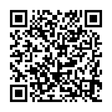 QR code for ZM0991