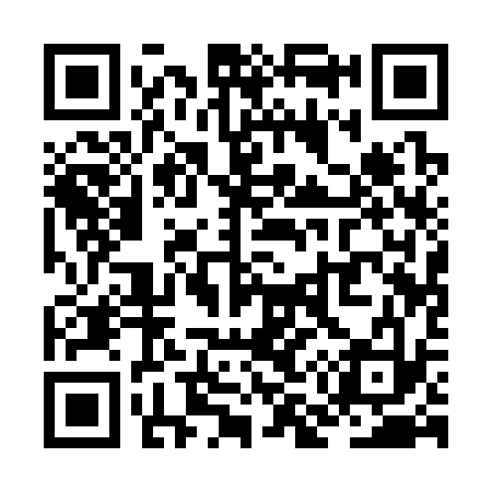 QR code for ZM1333