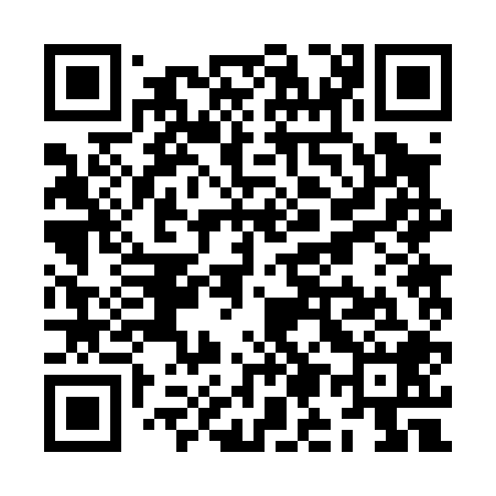 QR code for ZM2008