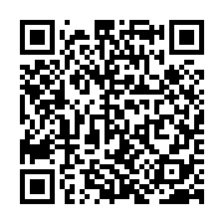 QR code for ZM3878