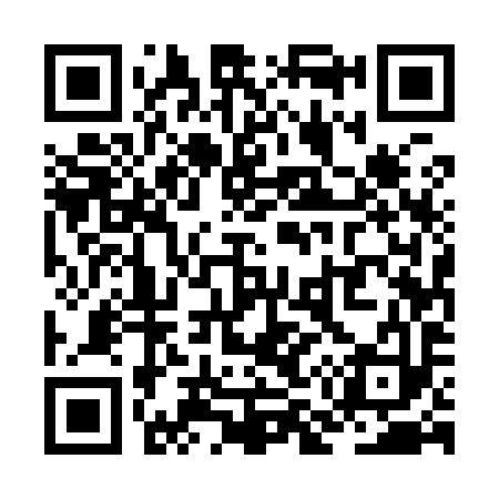 QR code for ZM5993