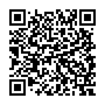 QR code for ZM6593