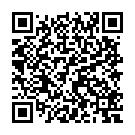 QR code for ZM9509