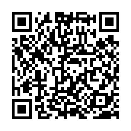 QR code for ZM9638