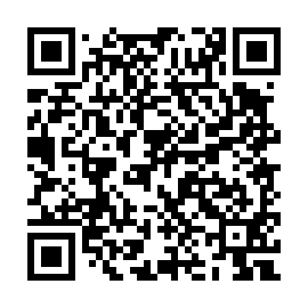 QR code for ZN0491