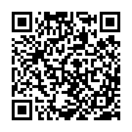QR code for ZN0647