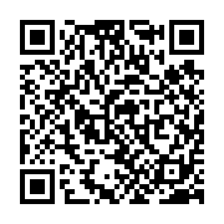 QR code for ZN1611