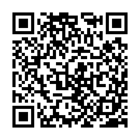 QR code for ZN1741