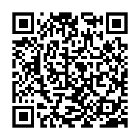 QR code for ZN2339
