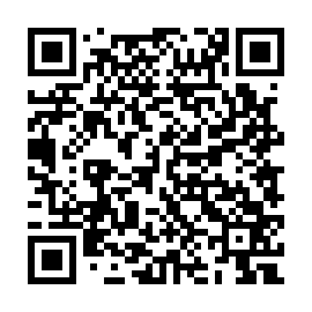 QR code for ZN4163