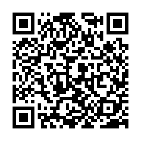 QR code for ZN6309