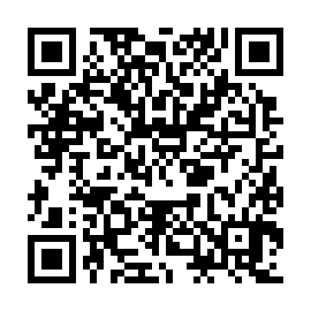 QR code for ZN6384