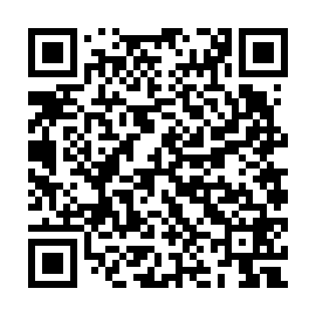 QR code for ZN6668