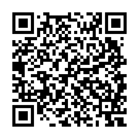 QR code for ZN6685