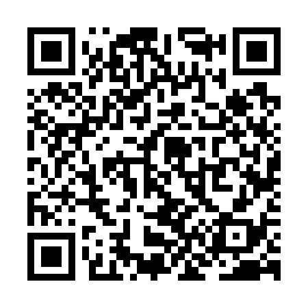 QR code for ZN6738
