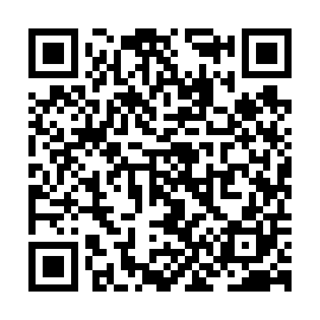 QR code for ZN9600
