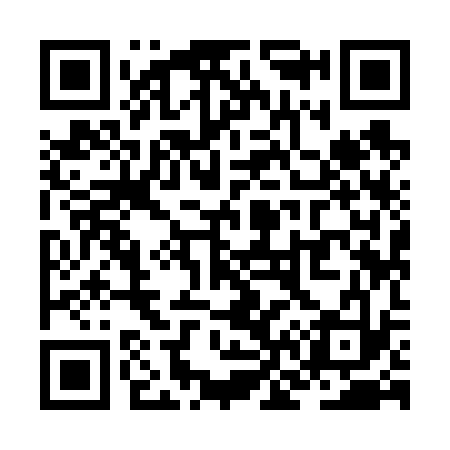QR code for ZN9633