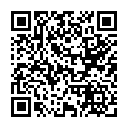 QR code for ZO0347