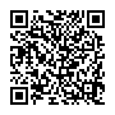 QR code for ZO0395